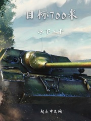 Ŀ700