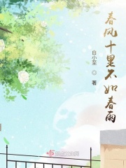 ʮﲻ紺