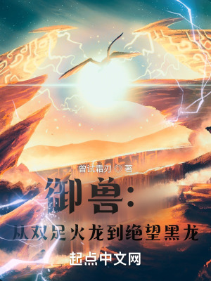 ޣ˫